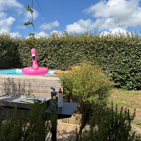 Andrina A Bassin Arcachon * 阿雷斯