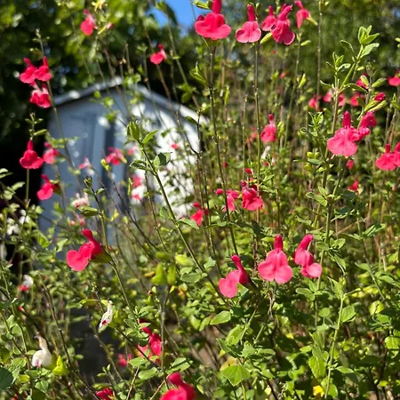 Holiday home Andrina A Bassin Arcachon Ares